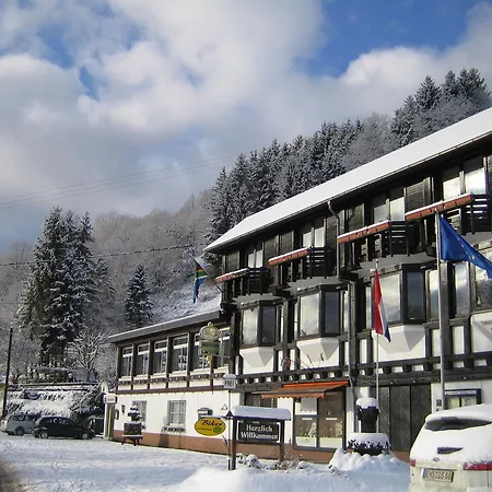 Hotel Weinhaus Treis 3*