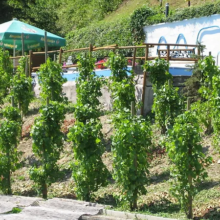 Hotel Weinhaus Treis 3*