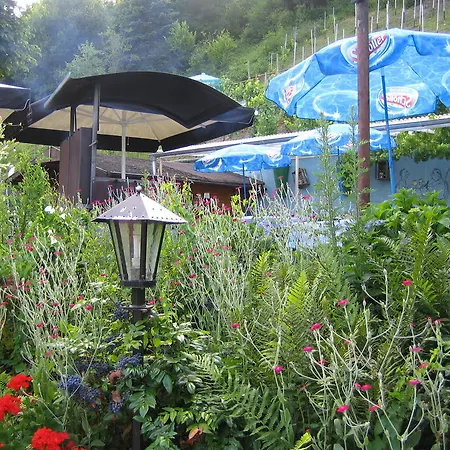 Hotel Weinhaus Treis 3*