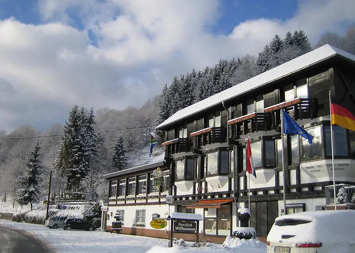 Otel Weinhaus Treis 3*