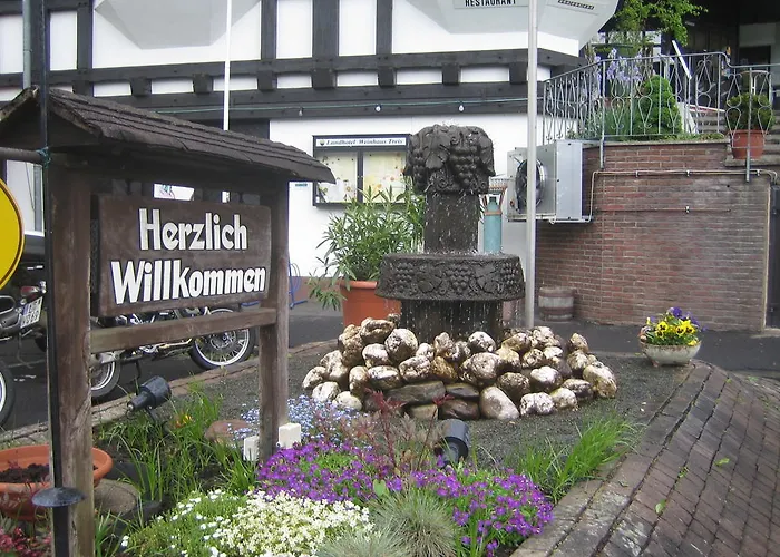 Otel Weinhaus Treis Weinähr