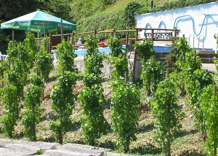 Szálloda Weinhaus Treis 3*