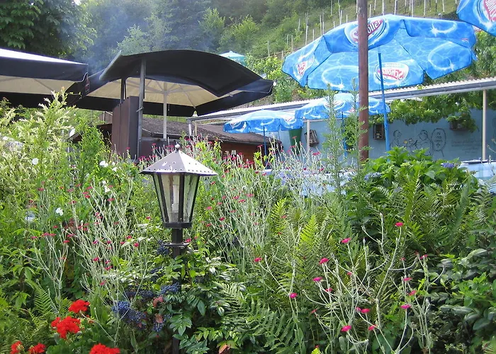 Otel Weinhaus Treis 3*